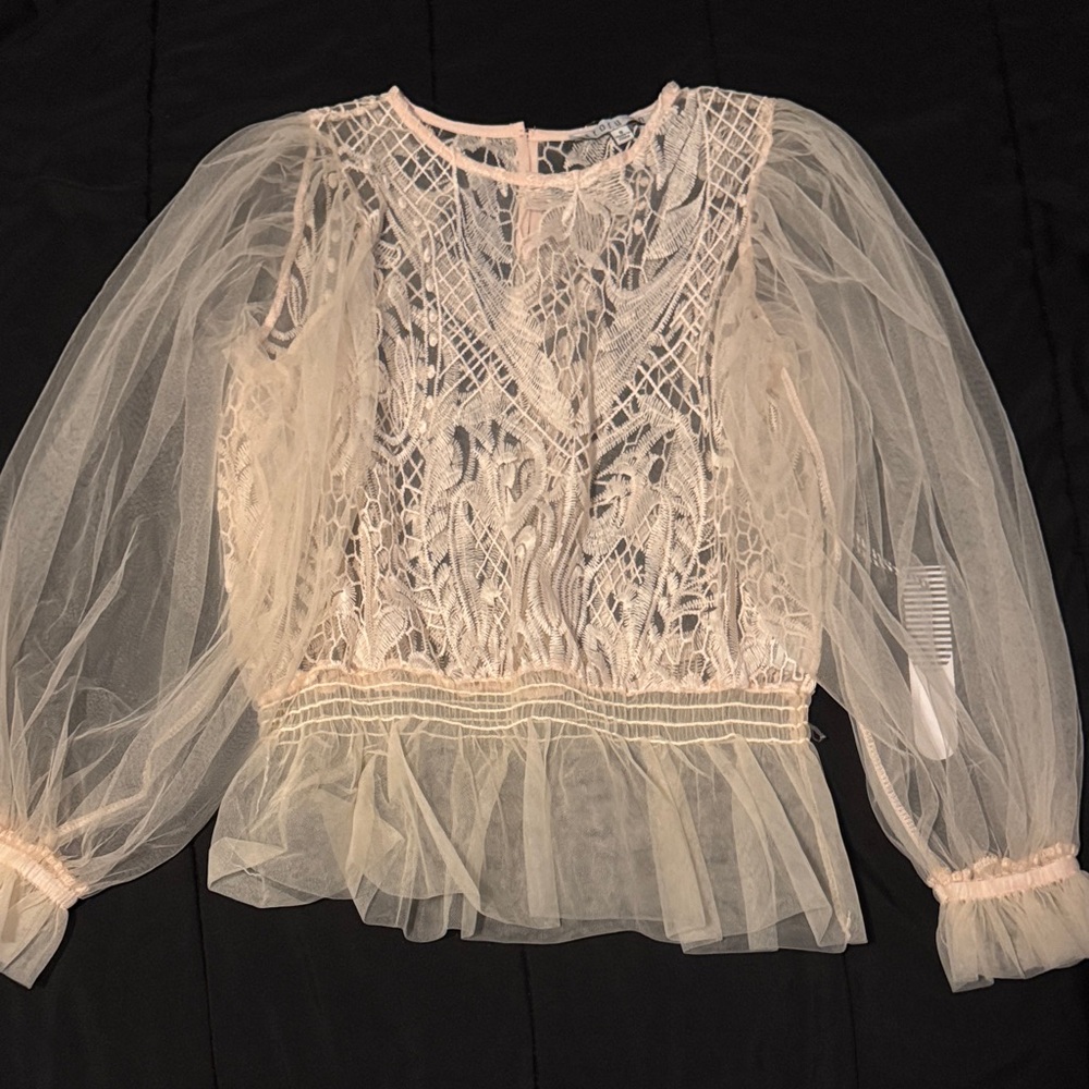 Elegant Sheer Lace Blouse